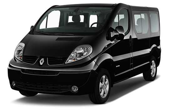 TL Access, taxi for handicapped at Lyon