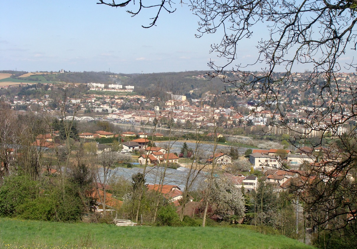 Bords de Saône à Albigny illustration